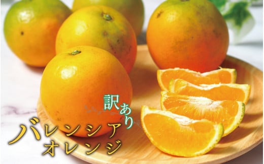 【国産　訳あり】希少　バレンシアオレンジ　7kg【ご家庭用】　※2025年6月下旬頃～7月中旬ごろ順次発送予定【uot712】