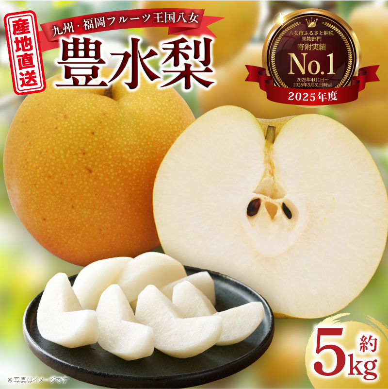 産地直送！ 梨(豊水) 約5kg 【2026年8～9月発送】九州・福岡フルーツ王国八女 ＜配送不可：北海道・沖縄・離島＞ なし ナシ 果物 果実 フルーツ 先行予約 デザート 旬 新鮮 甘い 甘み ジューシー みずみずしい 果汁 国産 季節限定 冷蔵配送 数量限定 秋の味覚