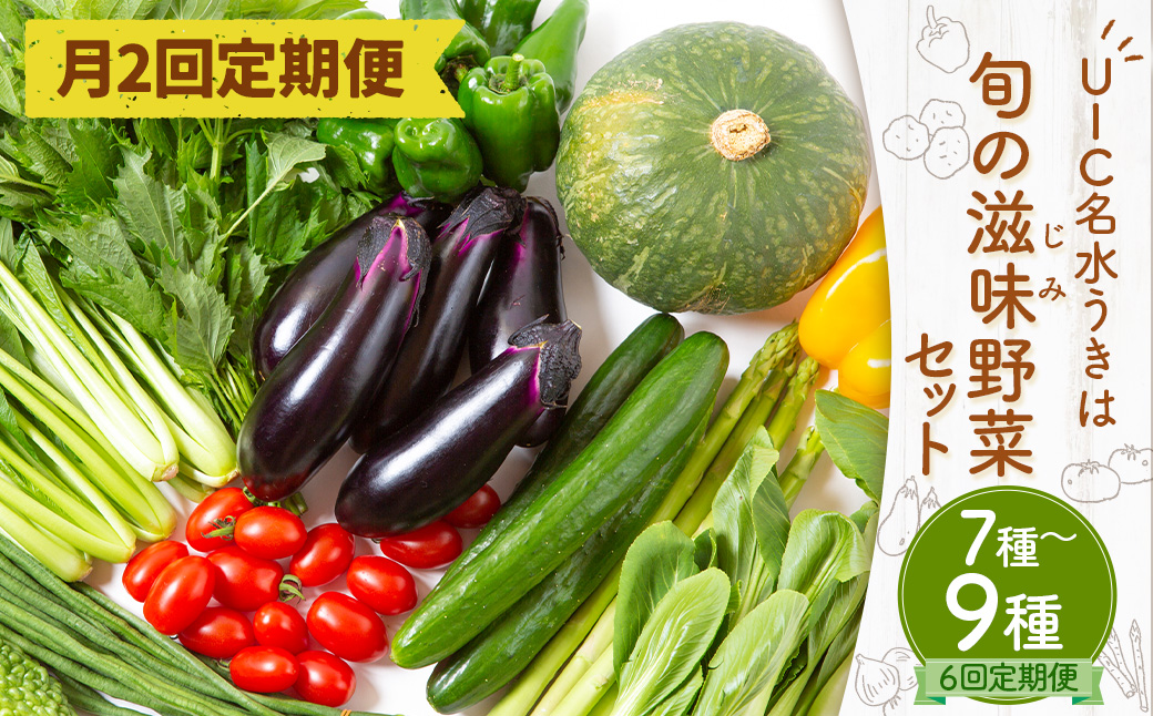 【月2回定期便】UIC 名水うきは 旬の滋味（じみ）お野菜セット (ひと月2回×3か月=計6回)