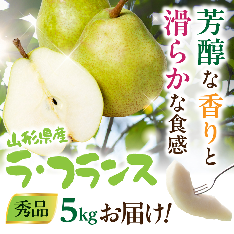 山形県産洋梨 ラ・フランス 秀品 約5kg【2026年11月上旬頃～発送予定】