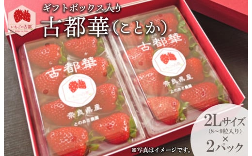 【奈良県知事賞受賞】ギフトボックス入り古都華（ことか）2Lサイズ（8～9粒入り）×2パック｜とのあさイチゴ農園 ※2025年1月中旬～5月上旬頃に順次発送予定