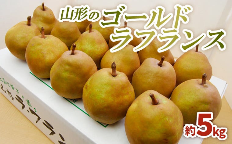 
                  山形のゴールドラフランス 5kg(3L～6L)10～16玉【令和8年産先行予約】FS25-741
                