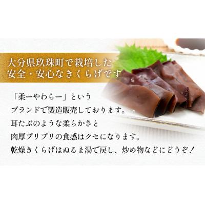 ふるさと納税 玖珠町 きくらげピクルス(4種)と乾燥きくらげのセット |  | 01