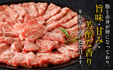 宮崎牛カルビ焼肉(500g×2 計1kg)　肉 牛 牛肉