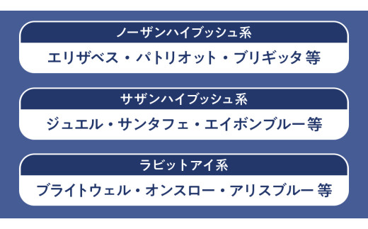 ブルーベリー狩り 体験チケット 《大人２名様プラン お土産付き》 ブルーベリー ベリー 食べ比べ 食べ放題 収穫 収穫体験 体験 チケット 招待券 レジャー 観光 旅行 ふれあい お土産 おみやげ 持