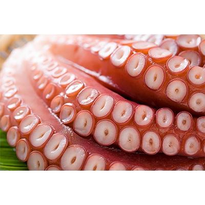 ふるさと納税 留萌市 留萌産    冷凍煮たこ足 1kg〜1.2kg |  | 02