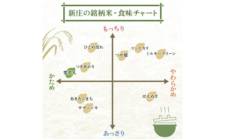 ＜定期便6回＞【最上ノ米蔵】 令和8年産 山形県産 雪若丸 精米 10kg （5kg×2） F3S-3023