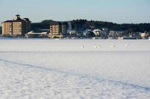 月岡温泉旅館感謝券(30,000円分) 【 新潟 温泉 旅行 感謝券 旅行券 宿泊券 利用券 宿泊 ゴルフ A01_10 】