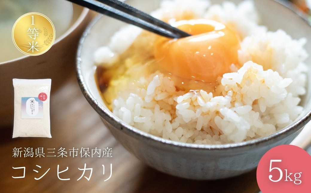 
                  【コシヒカリ】新潟県産コシヒカリ 1等米コシヒカリ 5kg 2025年産コシヒカリ 三条市保内産コシヒカリ 精米 白米 令和7年産コシヒカリ 米 【013S132】
                