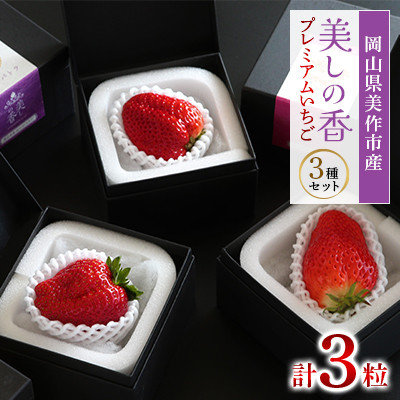 岡山県美作市産　プレミアムいちご【美しの香】1粒入　3種セット【配送不可地域：離島・北海道・沖縄】【1360736】