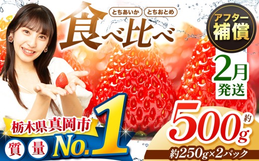 【2月発送】いちご とちおとめ・とちあいか 500g 食べ比べ セット | 苺 イチゴ おいしい 甘い 人気 いちご日本一のまち 栃木県 真岡市 農林水産大臣賞最多受賞 ストロベリー 苺 人気品種 送料無料