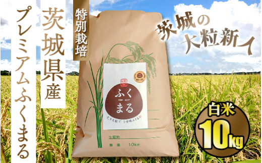 ☆茨城の大粒新人 プレミアムふくまる特別栽培米10kg【白米】◆