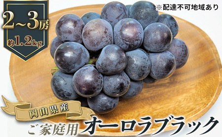 ぶどう 2026年 先行予約 ご家庭用 オーロラブラック 2～3房 合計約1.2kg ぶどう