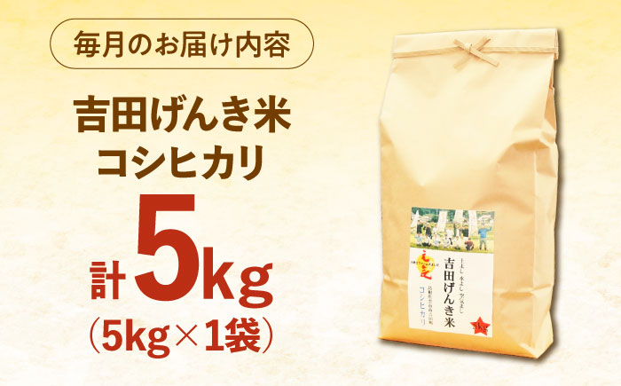 【全3回定期便】【令和8年産】吉田げんき米コシヒカリ 5kg [AIDB120-r8]