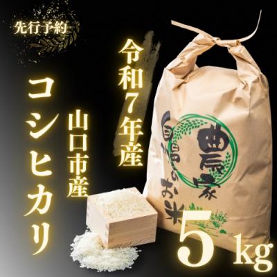 ふるさと納税 山口市 農家直送!山口市産新米「コシヒカリ」精米5kg D396