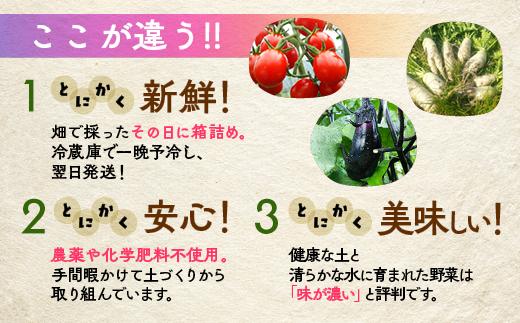 《アスカ有機農園》（栽培期間中農薬・化学肥料不使用）旬の京野菜セットS
