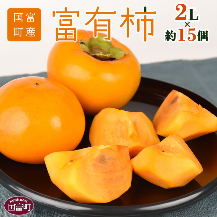 【ふるさと納税】数量限定！予約受付！＜国富町産 富有柿 2L×約15個＞※入金確認後、2025年11月中旬から12月中旬に順次出荷します。フルーツ 果物 かき カキ 片山柿園 宮崎県 国富町 0255_ky_x1 【常温】