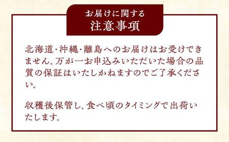 【12月上旬発送開始】愛宕梨 約3kg (3玉-5玉) / フルーツ 果物 なし ナシ くだもの なし 梨 なし くだもの [AFAR025]
