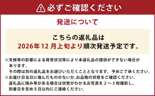 【年3回定期便】 いちご（ゆうべに＆恋みのり各2パック）計4パック×3回 【2026年12月上旬発送開始】 いちご イチゴ 苺 ゆうべに 恋みのり 果物 くだもの フルーツ 果実 果汁 定期便 年3回