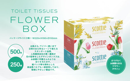 【スコッティ】ティシュー フラワーボックス 250組 3箱パック×1セット 合計3箱 ティッシュ 日用品 生活必需品