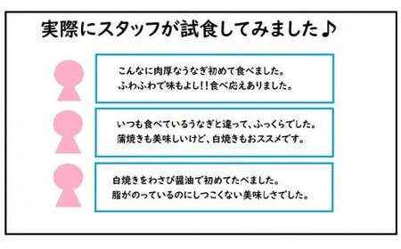 ＜2026年2月配送＞うなぎ白焼き 800g (200g×4尾) ／うなぎ 鰻 ウナギ 蒲焼 蒲焼き 土用 丑の日 特選 肉厚 たれ 国産 ふるさと 鰻丼 鰻重 うな重 うなぎたれ ギフト 贈り物 佐