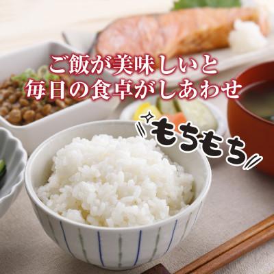 ふるさと納税 十日町市 魚沼産 こしひかり 3kg 無洗米 新潟県十日町市 |  | 02