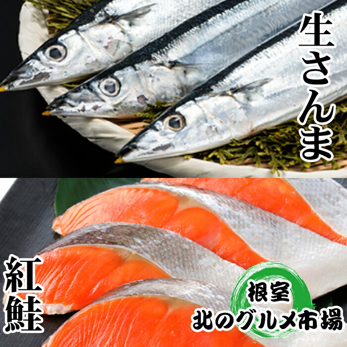 【ふるさと納税】 甘塩紅鮭 5 切 × 4P ・生さんま 5 尾 × 4P 鮭 さけ サケ しゃけ シャケ 魚 さかな サカナ 紅ざけ 紅ザケ べにざけ ベニザケ 秋刀魚 サンマ お取り寄せ グルメ 海鮮 切り身 塩鮭 北海道 根室市 ふるさと納税 C-76002