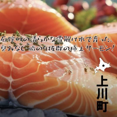 ふるさと納税 上川町 上川町産サーモン粕汁250g 上川大雪酒造の純米大吟醸酒粕使用 上川町産鮭×酒粕×根菜のごちそう汁 |  | 02