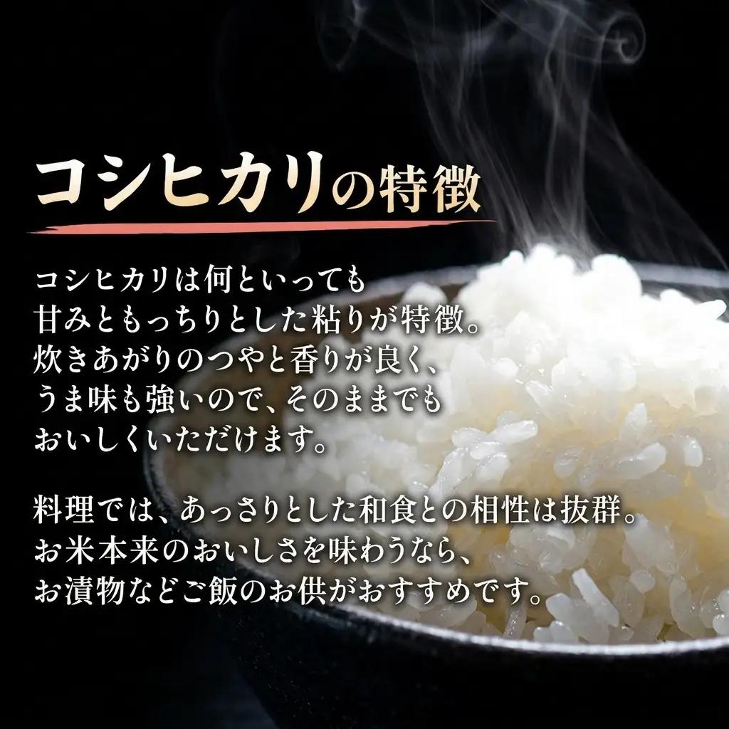 イセヒカリ 山本農園 コシヒカリ 食べ比べ 2kg×2 米