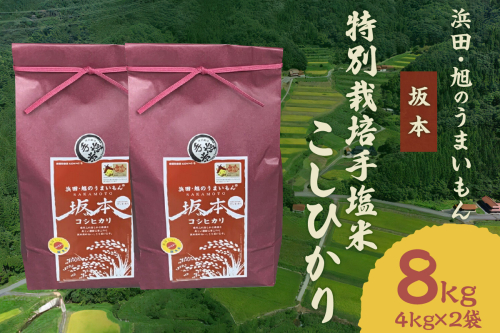 【令和6年産】浜田・旭のうまいもん「坂本」特別栽培手塩米こしひかり4kg×2袋 米 お米 こしひかり 特別栽培米 精米 白米 ごはん お取り寄せ 特産 新生活 応援 準備 【1035】