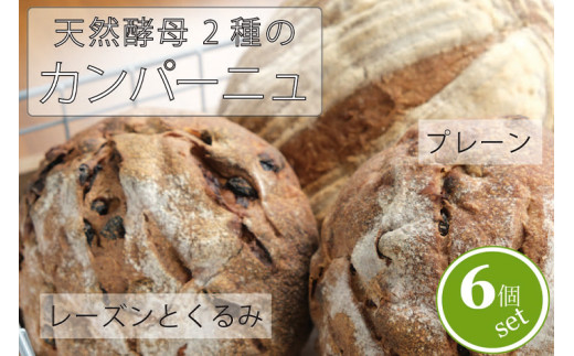 黒姫高原『パン小舎（pangoya）のカンパーニュ＆レーズンとくるみのパン  6点詰め合わせ』自家製天然酵母パン｜長野県産ゆめかおり使用【長野県信濃町ふるさと納税】