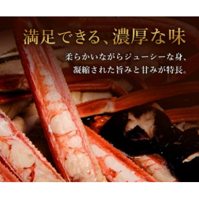 【蟹セレブ】ズワイガニ(紅ズワイガニ)大1杯(500～600g×1)【配送不可地域：離島・北海道・沖縄県・東北・関東・信越、北陸・東海・九州】