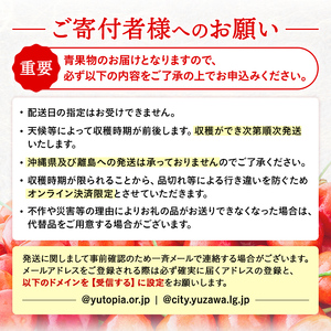 三関産さくらんぼ「佐藤錦」1kg 秀L さくらんぼ 秋田県産 小分け さくらんぼ 佐藤錦 さくらんぼ バラ詰め さくらんぼ フルーツ さくらんぼ[B84-7801]