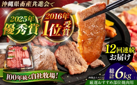 牛肉 佐渡山牛 焼肉用 500g 【全12回定期便】 厳選おすすめ部位 肉のサブロー [BCBC013] 沖縄県産 和牛 牛 ぎゅうにく ウシ うし ギュウニク 国産和牛 わぎゅう 国産 黒毛和牛 にく お肉 おにく 肉 厳選部位 おすすめ 部位 焼肉 やきにく 焼肉用 BBQ バーベキュー ばーべきゅー 贈り物 贈答 お祝い 送料無料 500g 500グラム お取り寄せ 取り寄せ 沖縄県 沖縄市