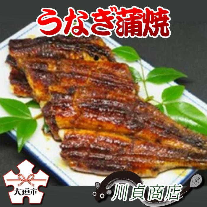 【ふるさと納税】 うなぎ蒲焼 うなぎ うなぎ 鰻 うな重 うなぎ お取り寄せ お取り寄せグルメ 岐阜県 大垣市