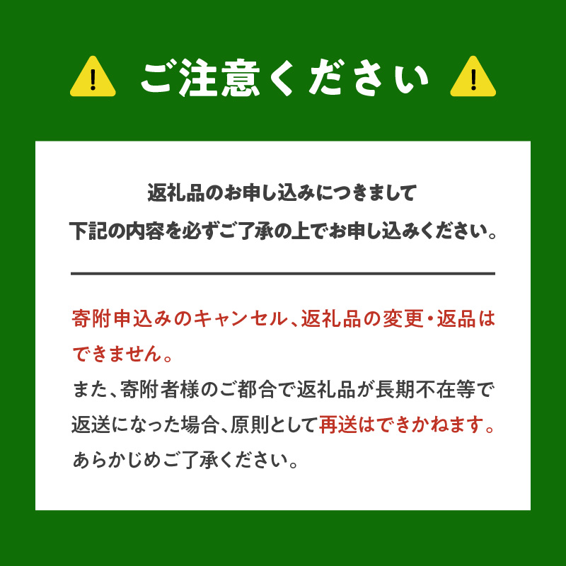 【先行予約：2025年8月下旬より発送】余市の砂川果樹園が贈る【余市の生プルーン】1.6kg_Y033-0035