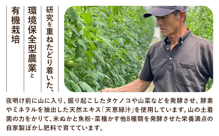 有機JASとっぺんトマト 約4kg 《7月上旬-8月下旬頃出荷》旬 お取り寄せ 詰め合わせ 贈答 ギフト お中元 お歳暮 熊本 阿蘇 産山村 送料無料 トマト 無農薬 有機---ubuyama_swm