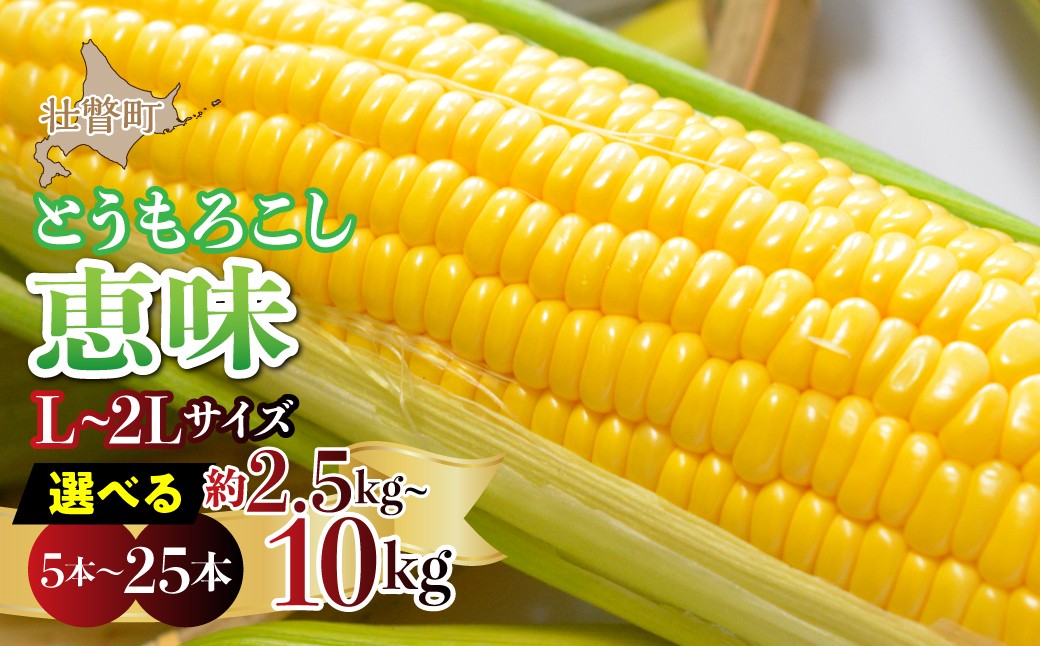 
                  ＜2026年8月初旬よりお届け＞約2.5~10kg！北海道壮瞥産とうもろこし（恵味） 選べる容量 【Ｌ～2Lサイズ 5～25本】【 ふるさと納税 人気 おすすめ ランキング トウモロコシ とうもろこし 恵味 野菜 甘い 先行予約 北海道 壮瞥町 送料無料 】
                