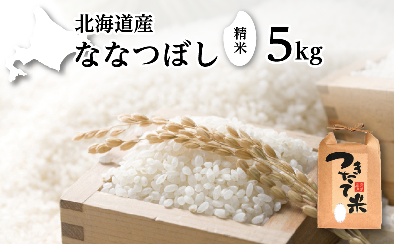 北海道産 ななつぼし 5kg［令和6年産］［小田壱］【 精米 米 白米 ご飯 お米 ごはん 国産 ブランド米 おにぎり ふっくら 常温 送料無料 北海道 十勝 幕別 】