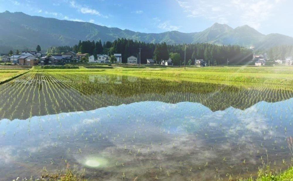 【令和7年産新米予約】この一粒に愛をこめて【四代目田中の最高傑作品】精米10kg【2025年9月中旬より順次発送予定】