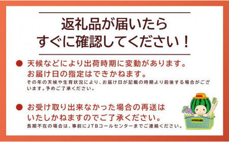 鬼の とまと ※2026年6月上旬～10月下旬頃に順次発送予定 トマト 