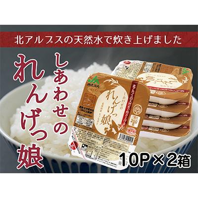 ふるさと納税 寝屋川市 しあわせのれんげっ娘パックごはん 10パック×2