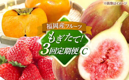 【全3回定期便】九州・福岡もぎたて フルーツ定期便 C　桂川町/一般社団法人地域商社ふるさぽ[ADCF019]