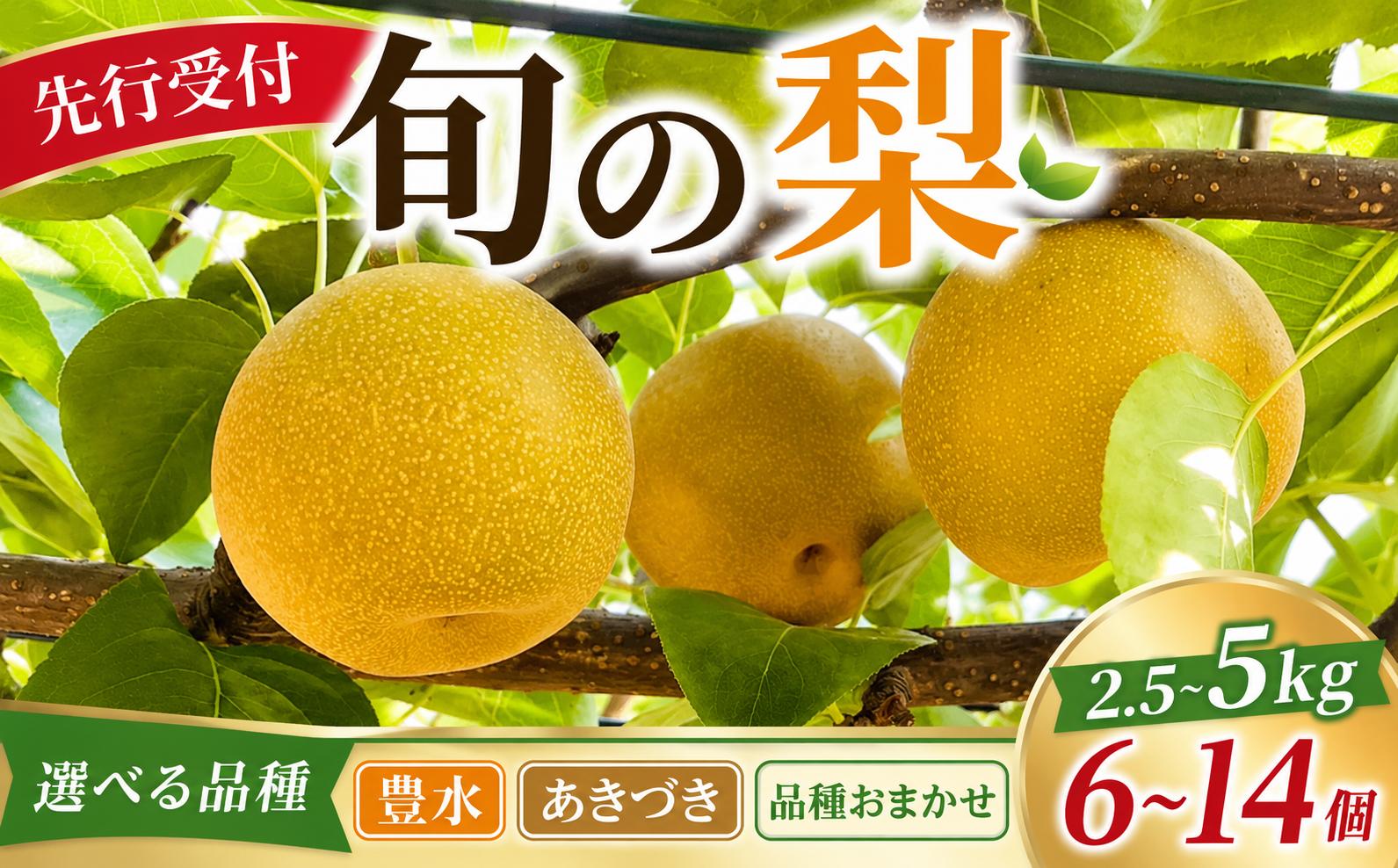 
                  【 2026年先行予約 】 梨 選べる品種 豊水 / あきづき / 品種おまかせ 選べる内容量 約 5kg / 2.5kg なし 品種 おまかせ 旬の品種 甘い 旬 果物 果肉 幸水 秋月 ほうすい こうすい 糖度 くだもの 果物 フルーツ 旬の果物 旬のフルーツ 産地 千葉県 千葉 旭市 旭市産 まる吉園 mkn
                
