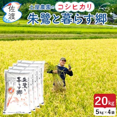ふるさと納税 佐渡市 佐渡島産コシヒカリ「朱鷺と暮らす郷」精米20kg(5kg×4袋) 令和7年産 特別栽培米 土屋農園