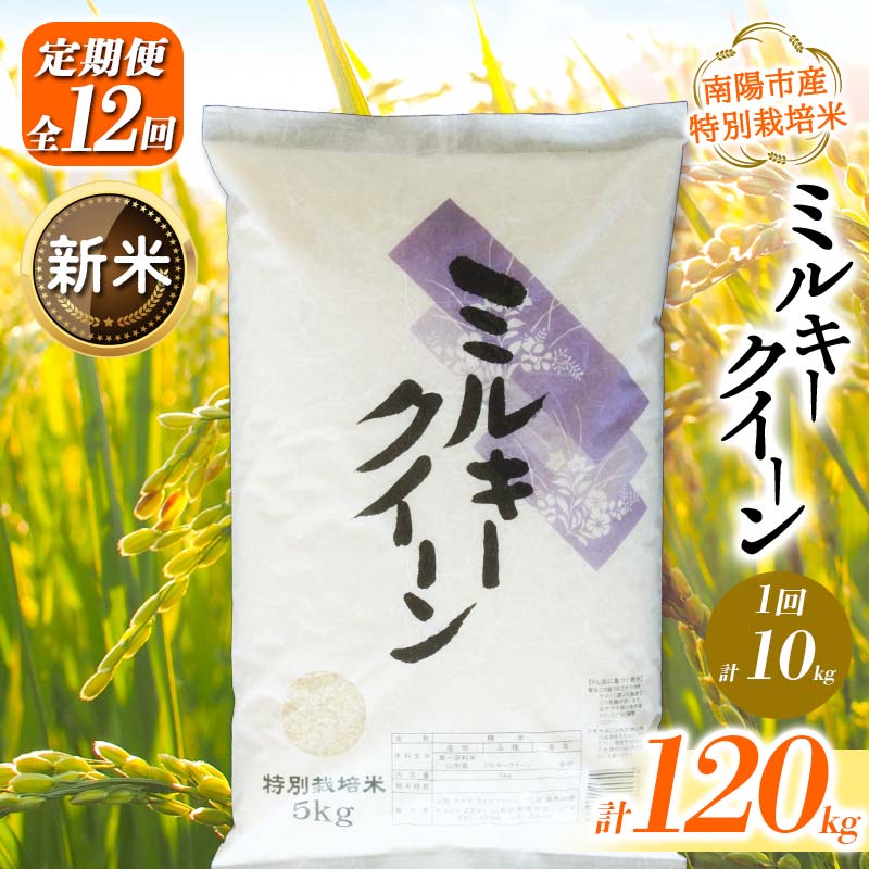 【ふるさと納税】 【令和7年産 新米 先行予約】 【金賞受賞農家】 《定期便12回》 特別栽培米 ミルキークイーン 計10kg(5kg×2袋)×12か月 《令和7年10月上旬～発送》 『あおきライスファーム』 山形南陽産 米 白米 精米 ご飯 農家直送 山形県 南陽市 [2417-R7]