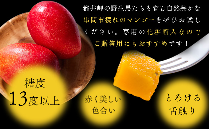 Y-CD9 宮崎県串間市産！完熟マンゴー(赤秀3L×2個)化粧箱入り【スーパーほりぐち】