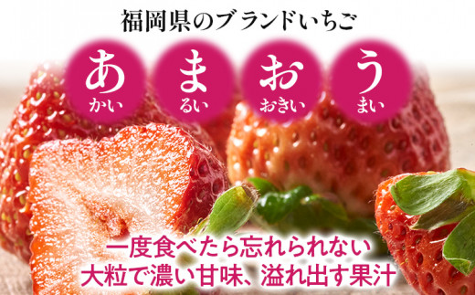 【冬】あまおう 約500g いちご 苺 果物 フルーツ 冷蔵 送料無料 ※北海道・沖縄・離島は配送不可 大木町産 南国フルーツ CO001