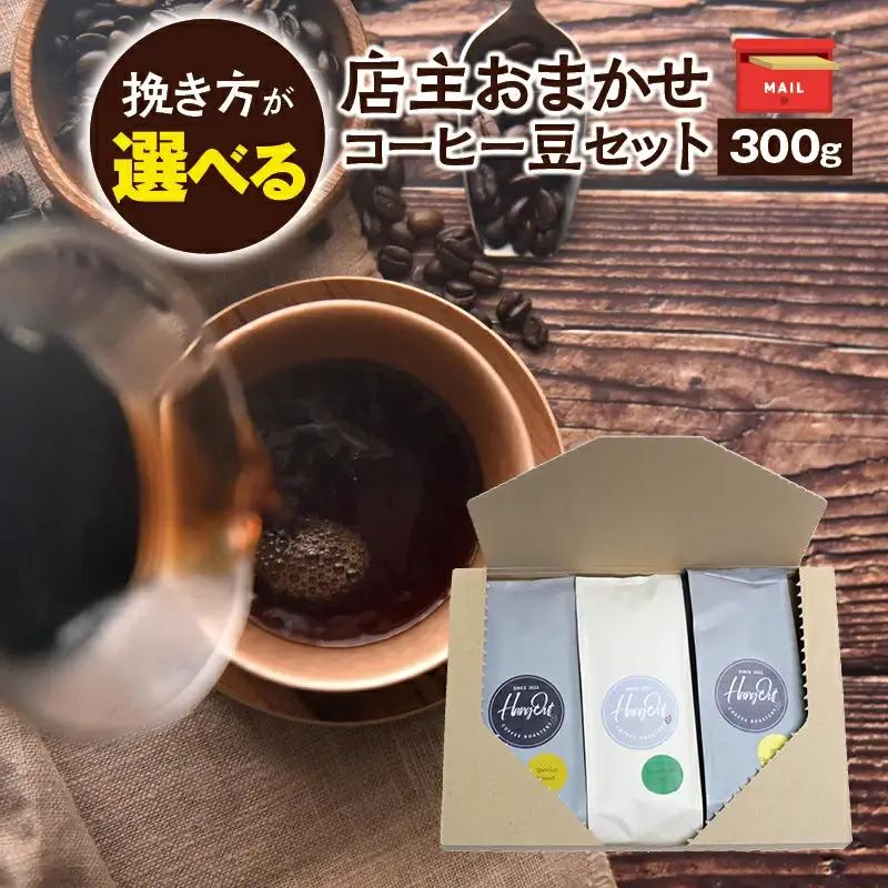 【豆】店主おまかせ 挽き立てコーヒー豆3種類セット(100g×3種類）【hgo003-d】