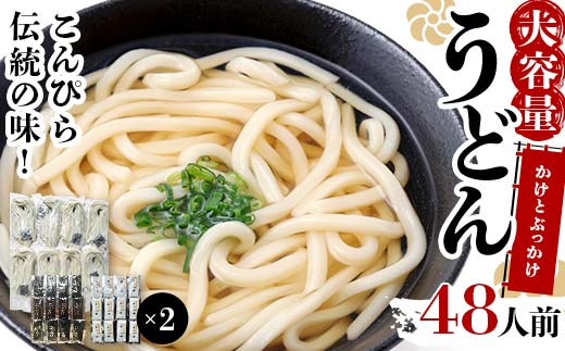 大容量 うどん 48人前【かけとぶっかけ】 麺 手打ち 生麺 うどん うどんつゆ かけつゆ 食品 名産品 四国 F5J-1212